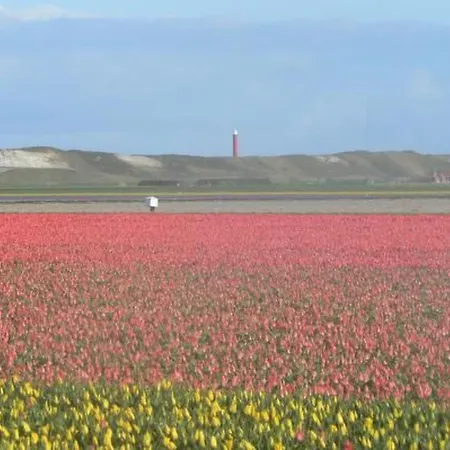 Schoenes Strandopgang In Julianadorp By Interhome * Julianadorp