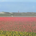 Schoenes Strandopgang In By Interhome * Julianadorp